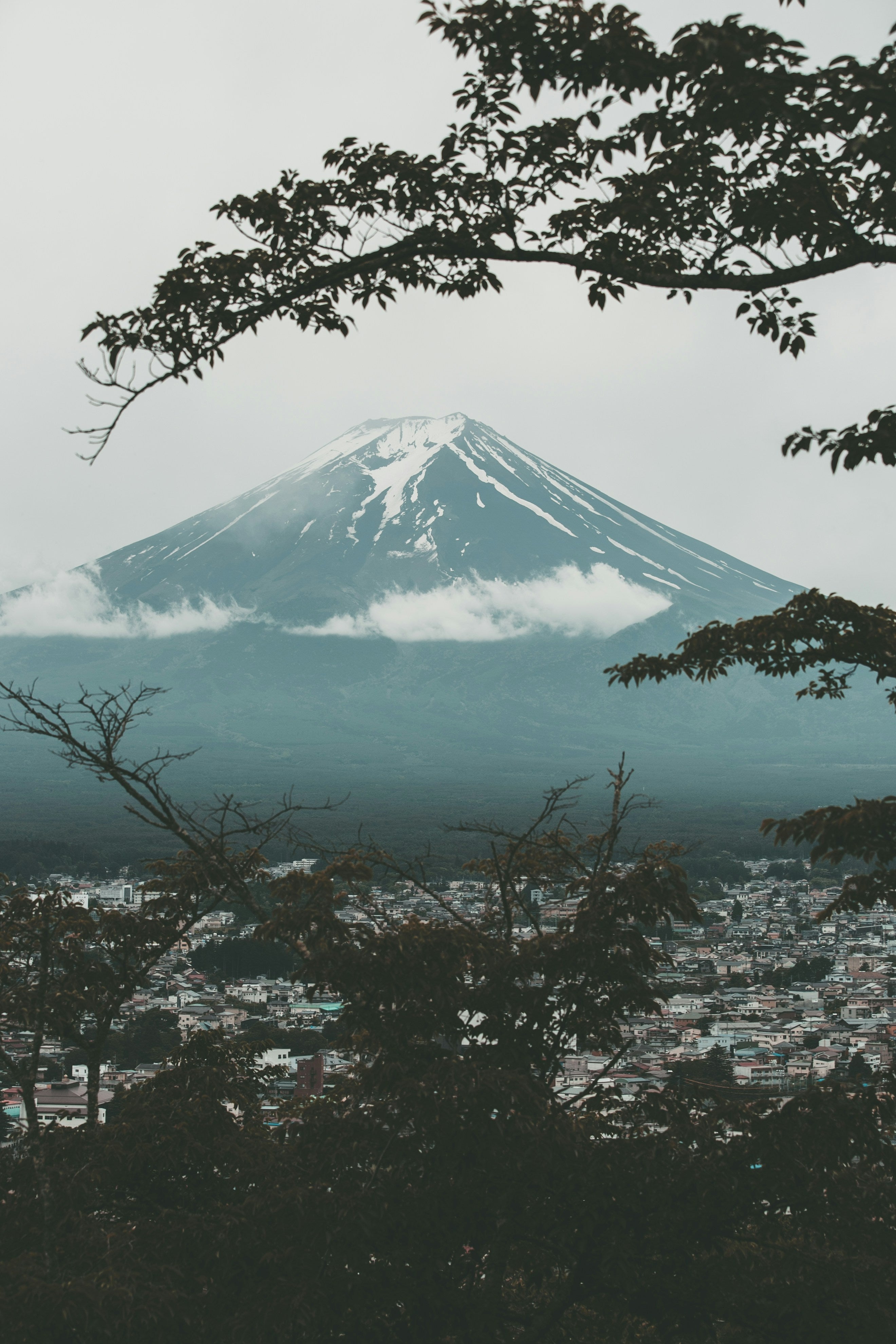 Things to Know Before Going to Japan