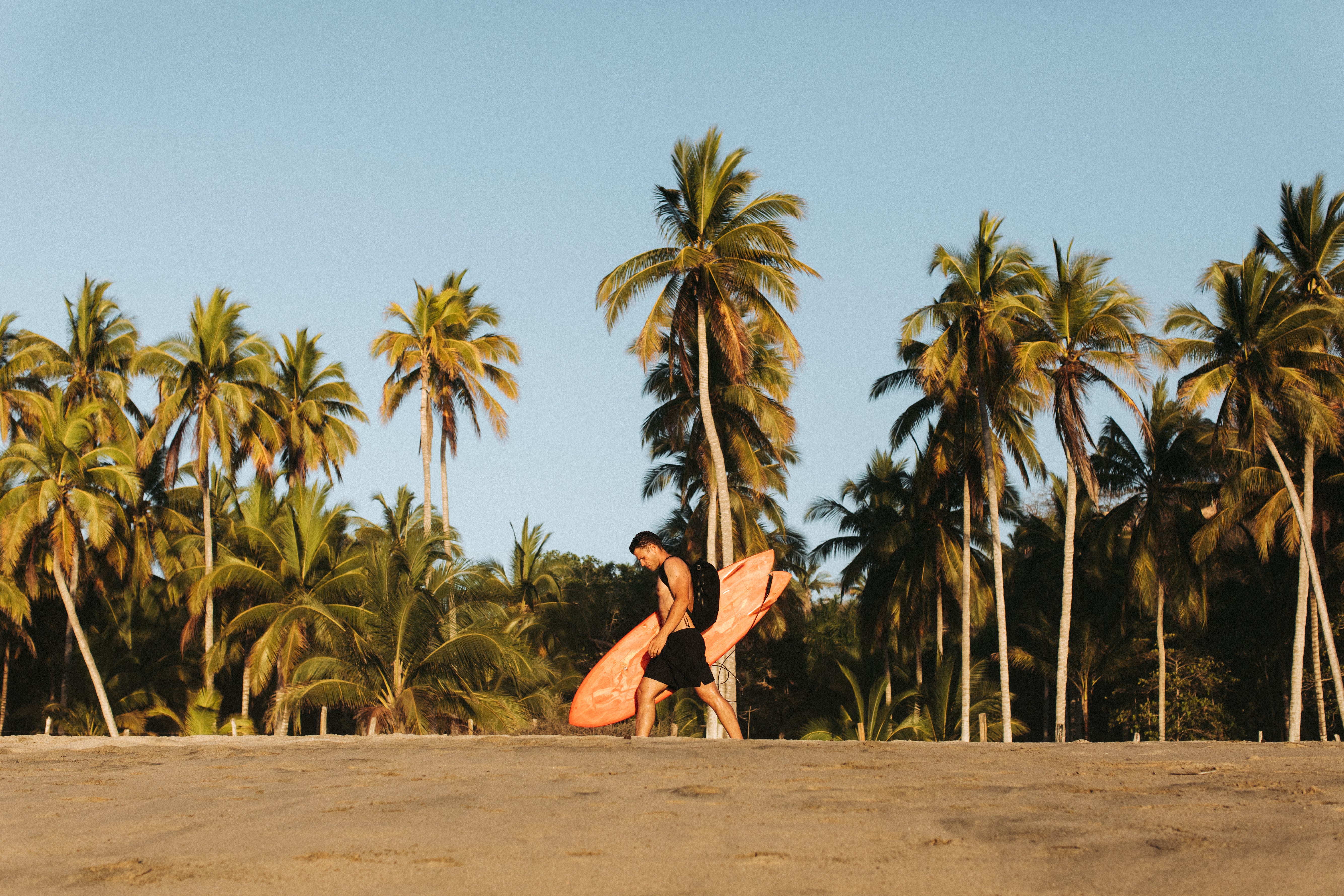 things to do in sayulita guide